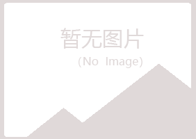 阳泉夏青化学有限公司